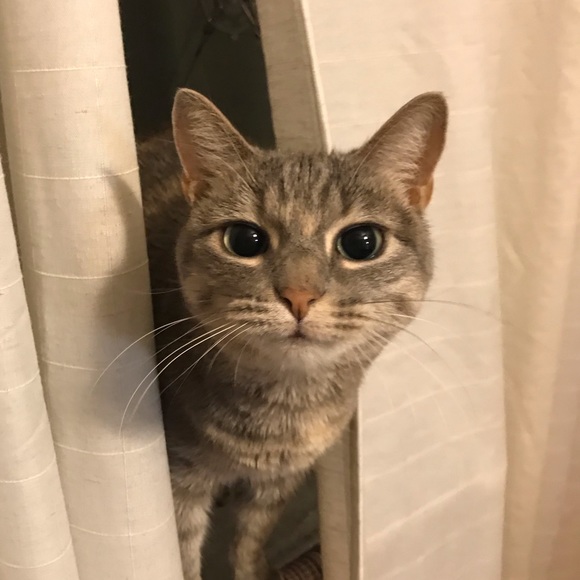 Meet your Posher, Nadia - Picture 3 of 3